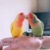 こんどは頑張ろう