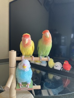 スモモとキィちゃん