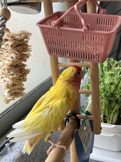 ママさんもか～　ずいぶん長くプール入りしてたわ