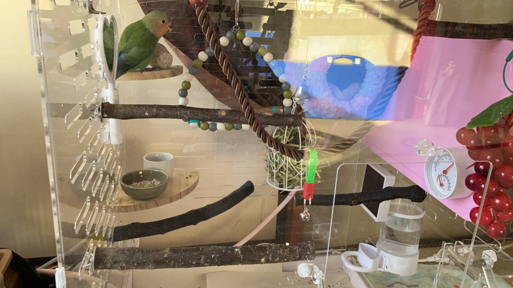 少し　外した。