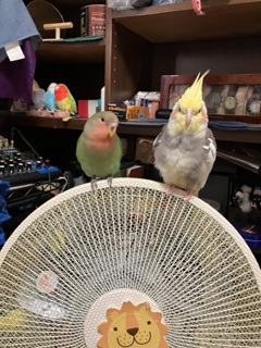 仲良し2