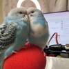 見た目♡