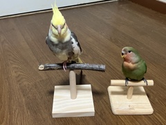 この止まり棒どうよ？うん、いい感じじゃない？