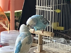 ねぇねぇ 聞いて
