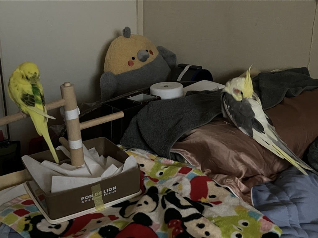 主　寝場所を奪われる