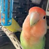 ５カ月で変貌したパパ