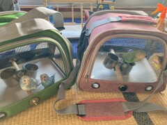 暖かくなったら一緒に散歩