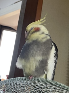 寝てる2