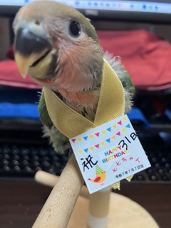 生後　31日目　おめでとう