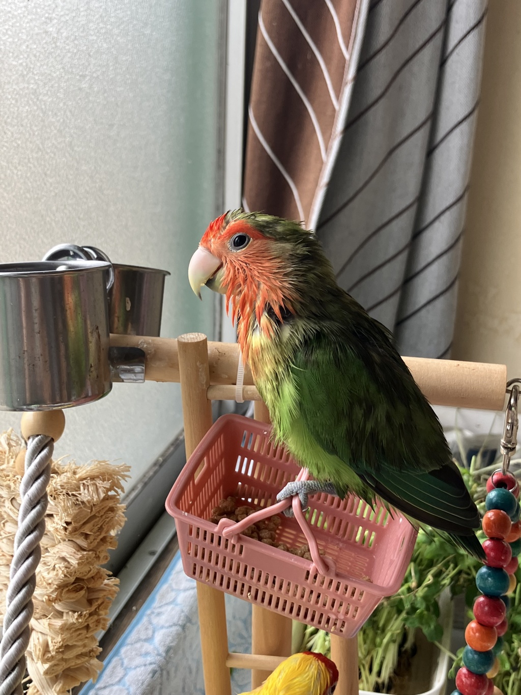 パパさん。。濡らしすぎ