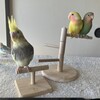 ファミリー集合