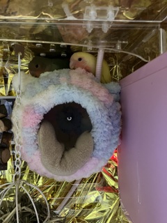 最近ここがお気に入り