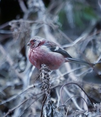 P2260129