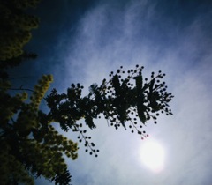 IMG_2843