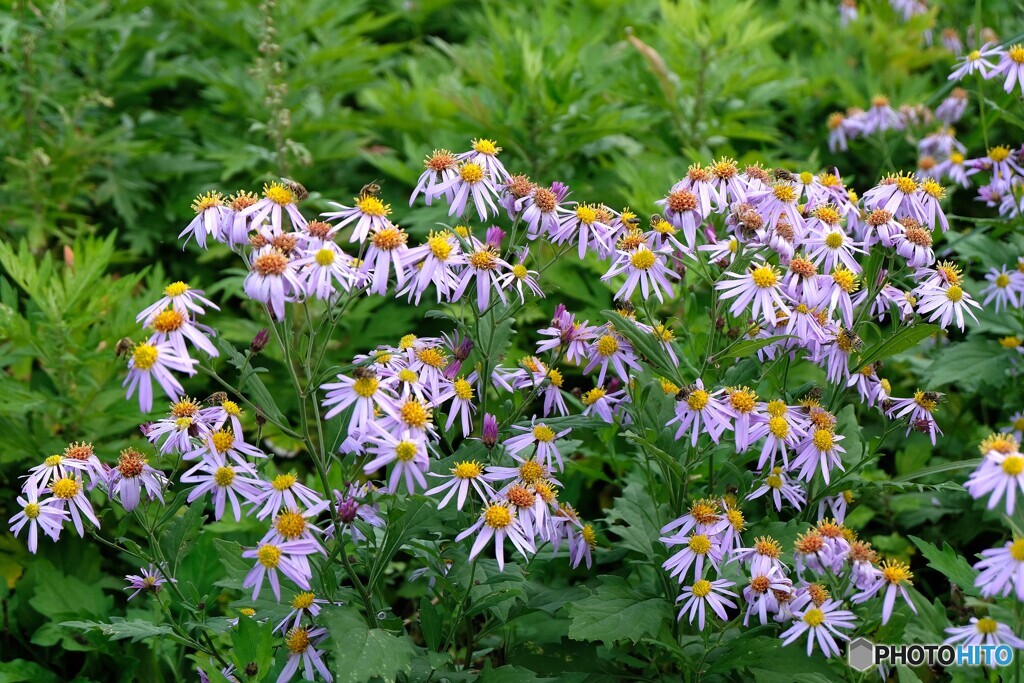 秋色もそろそろ