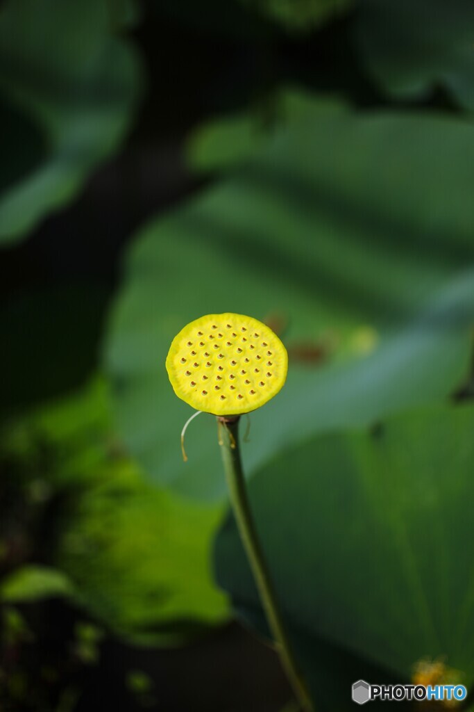 終わった後も