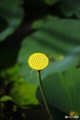 終わった後も