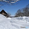 耐えて