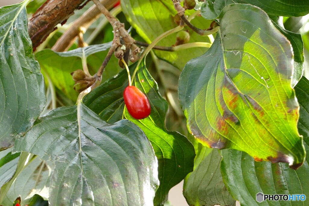 ポツンとひとつ