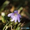 温陽に誘われて