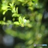 小さな世界