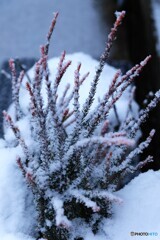 隅々まで冷えて