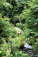 水量十分
