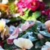 早春のフラワーバスケット
