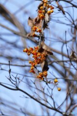 冷風受けながら