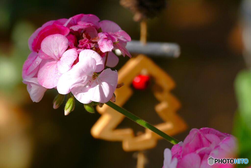 そう言う時期に