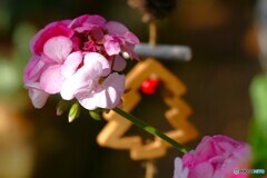 そう言う時期に