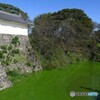 曼殊沙華咲く堀端