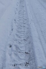 除雪車