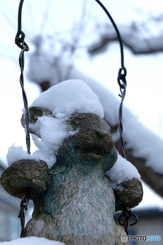 雪なんてへっちゃら