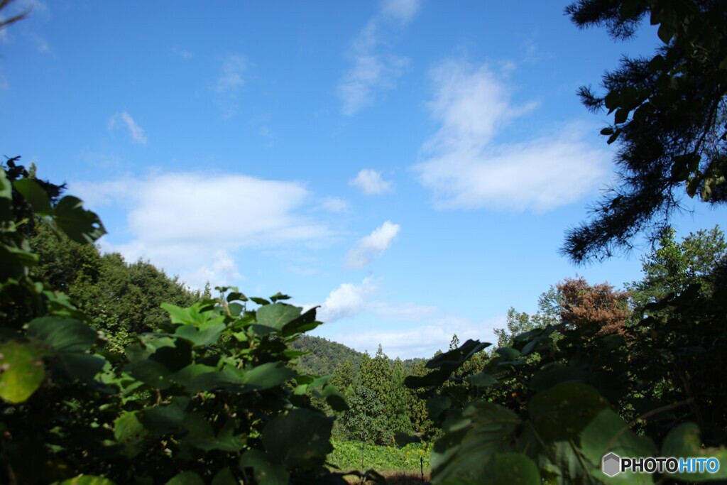 秋空