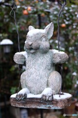 ちっとも寒くないわ