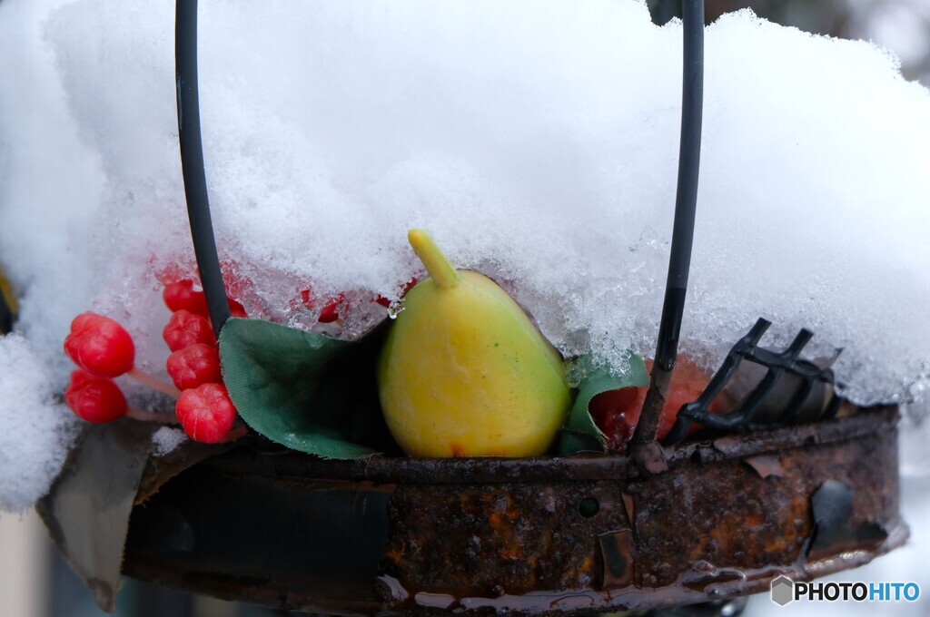 冷蔵バスケット