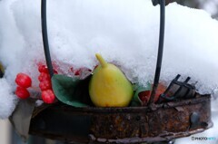 冷蔵バスケット