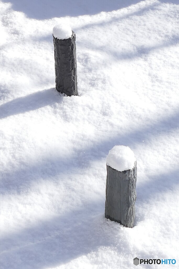 雪のキャンバス