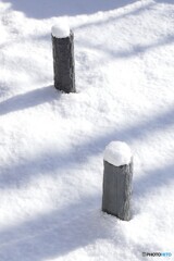 雪のキャンバス