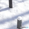 雪のキャンバス