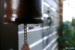 冬雨に打たれたベル