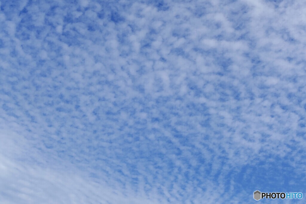 秋空にたなびいて
