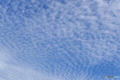 秋空にたなびいて