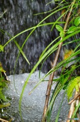 一時の涼