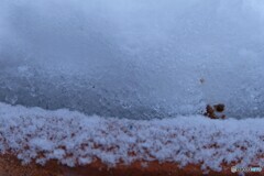 大っきなかき氷