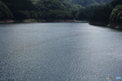吹き渡る夏風