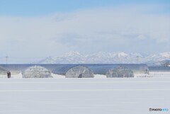雪の晴れ間の散歩