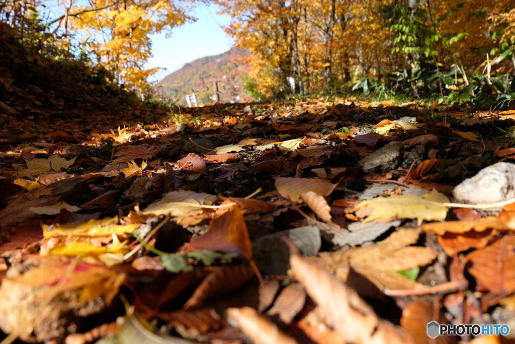 思い出踏みしめて