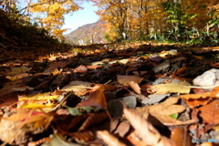 思い出踏みしめて